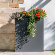 Extra large plant pots showcasing a variety of colourful flowers.